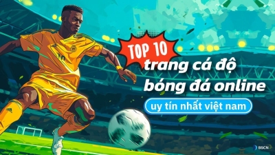 Trangcacuocbongda.lat- Trang cá cược bóng đá trực tuyến trên điện thoại